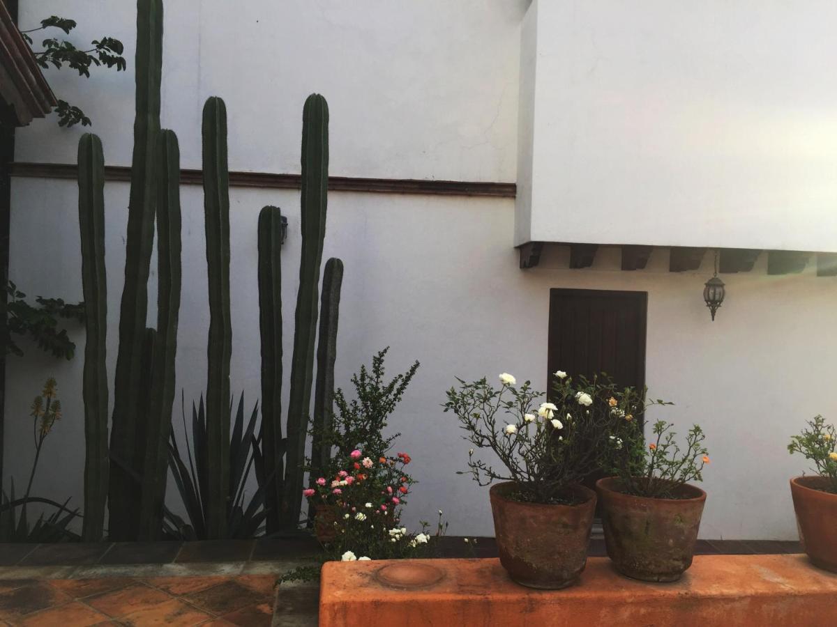 Las Alamedas Departamentos Centricos Con Estacionamiento Privado 瓜纳华托 外观 照片